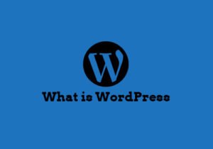 What is wordpress