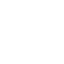 WordPress Security Icon