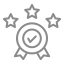 Quality Icon
